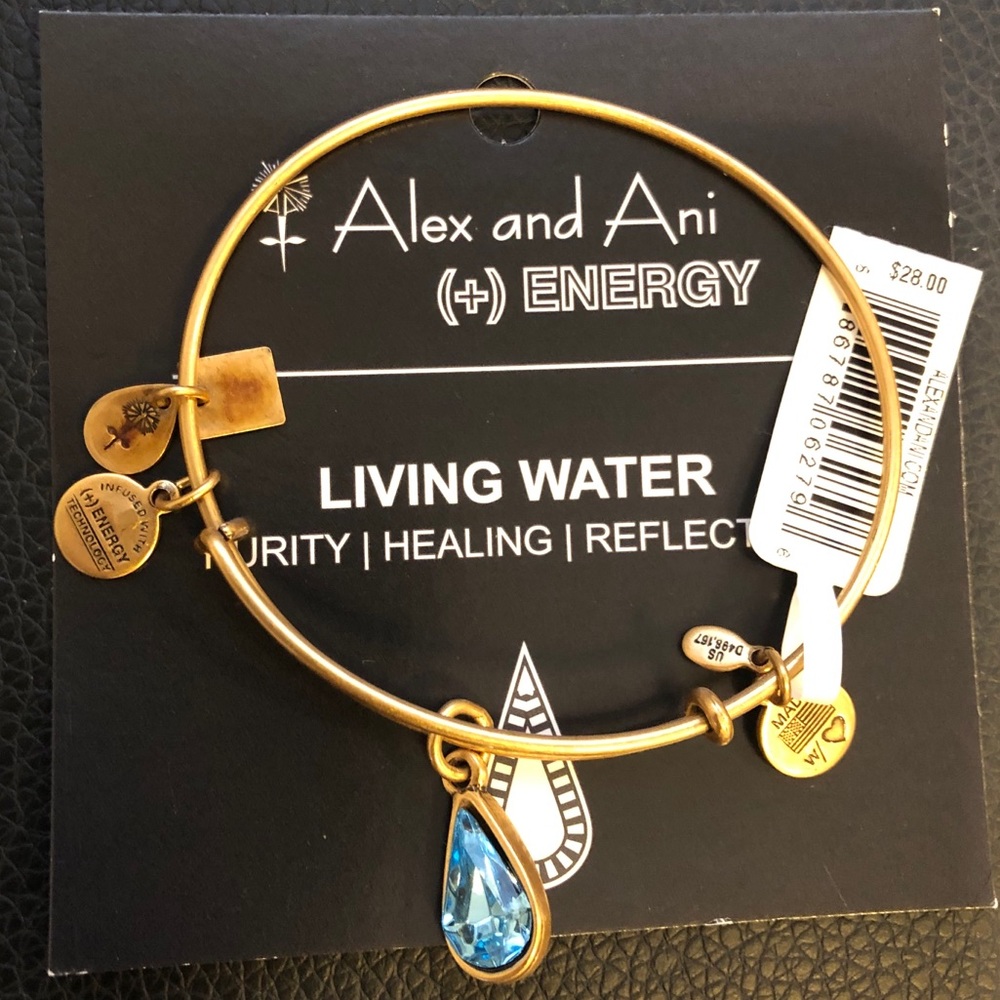 Alex and Ani Living Water Bracelet